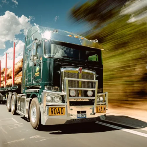 ABROOKFennelLogisticSolutionsLoggingStruck-77